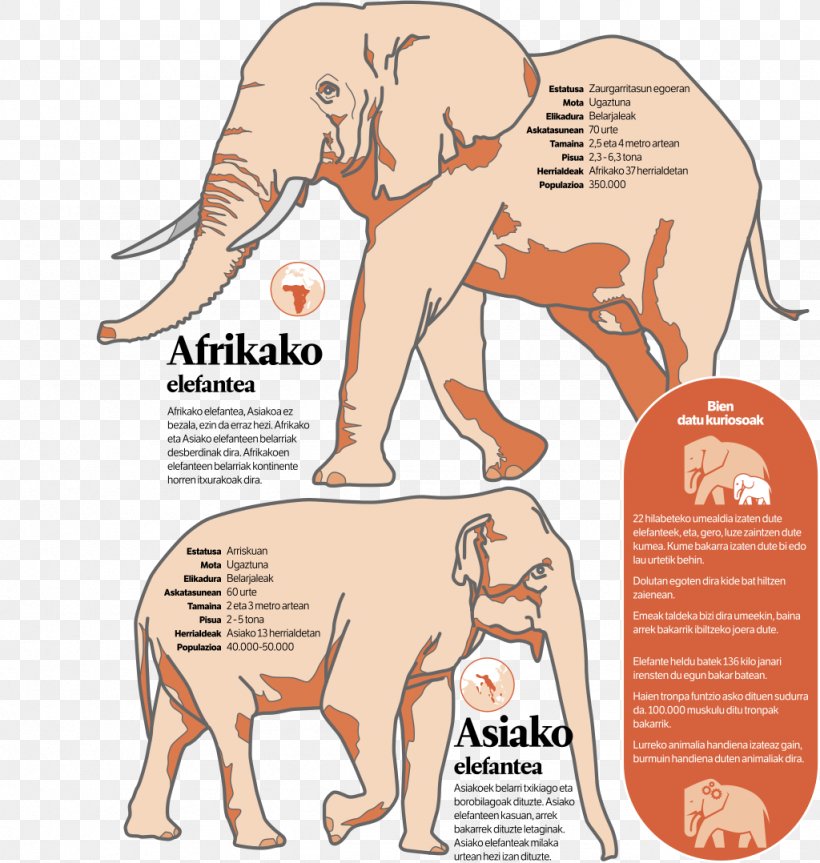 Indian Elephant African Elephant Wiki Loves Monuments Wikimedia Foundation, PNG, 1024x1078px, Indian Elephant, African Elephant, Area, Asian Elephant, Cattle Like Mammal Download Free