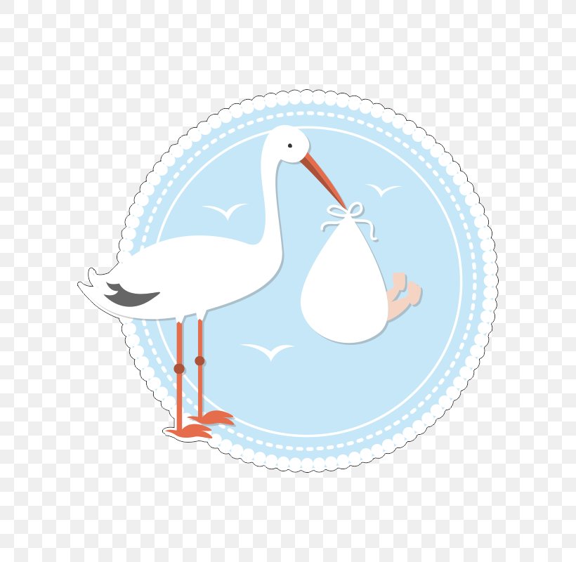 White Stork Vertebrate Bird Crane Flamingos, PNG, 800x800px, White Stork, Beak, Bird, Ciconia, Ciconiiformes Download Free