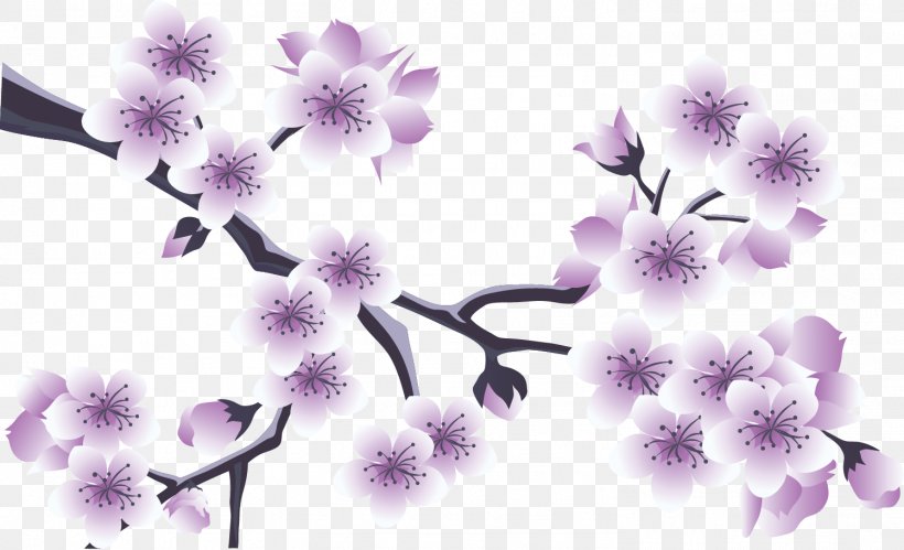 .az Flower .li .ru, PNG, 1497x912px, Flower, Blossom, Branch, Cherry Blossom, Flora Download Free