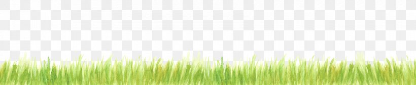 Desktop Wallpaper Grasses Sunlight Leaf Computer, PNG, 1700x350px, Grasses, Commodity, Computer, Family, Field Download Free