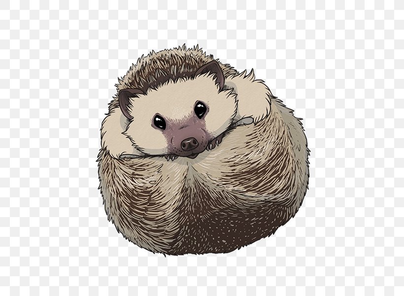 Domesticated Hedgehog Porcupine, PNG, 600x600px, Domesticated Hedgehog, Carnivoran, Cuteness, Decal, Domestication Download Free