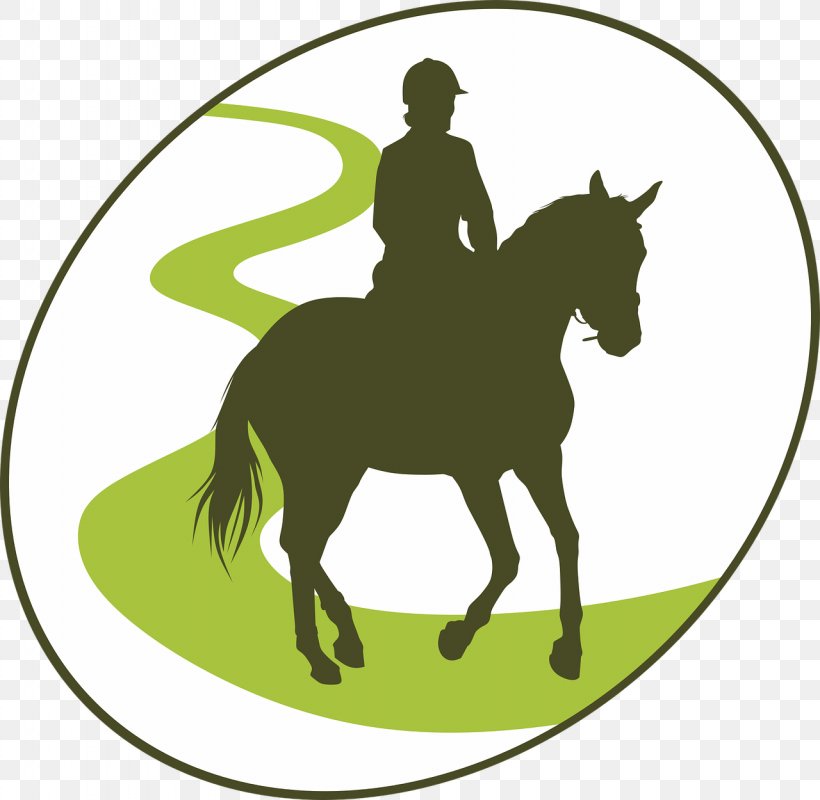 Horse Equestrian Endurance Riding Clip Art, PNG, 1280x1250px, Horse, Autocad Dxf, Bridle, Canter And Gallop, Colt Download Free