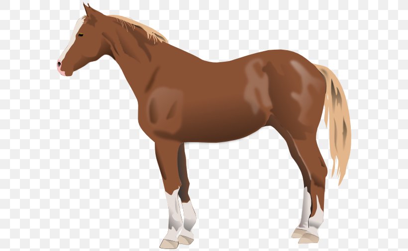 American Paint Horse Friesian Horse American Quarter Horse Morgan Horse Black Forest Horse, PNG, 600x505px, American Paint Horse, American Quarter Horse, Animal, Animal Figure, Black Download Free