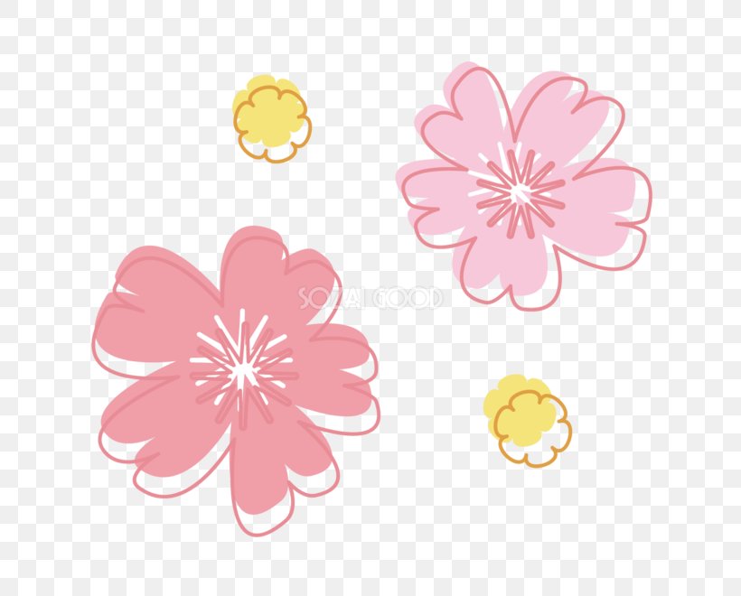 Cherry Blossom Book Illustration Clip Art, PNG, 660x660px, Cherry Blossom, Book Illustration, Flora, Floral Design, Flower Download Free