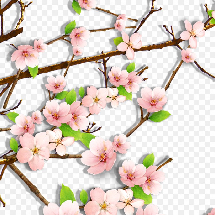 Cherry Blossom Clip Art, PNG, 844x844px, Cherry Blossom, Blossom, Blue, Branch, Color Download Free