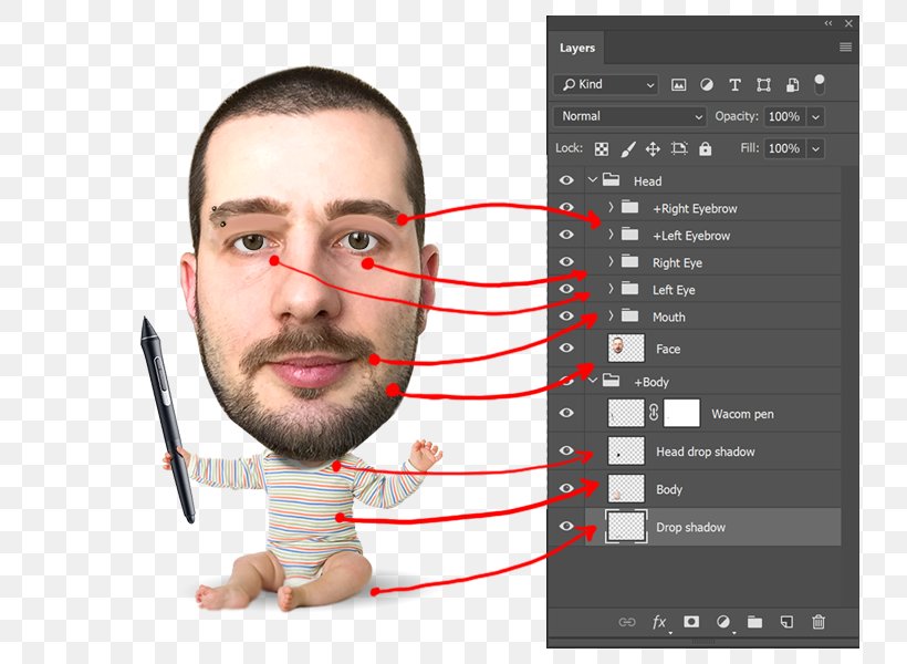 Chin Adobe Character Animator Eyebrow Animation Face, PNG, 800x600px, Chin, Adobe Character Animator, Adobe Systems, Animation, Beard Download Free