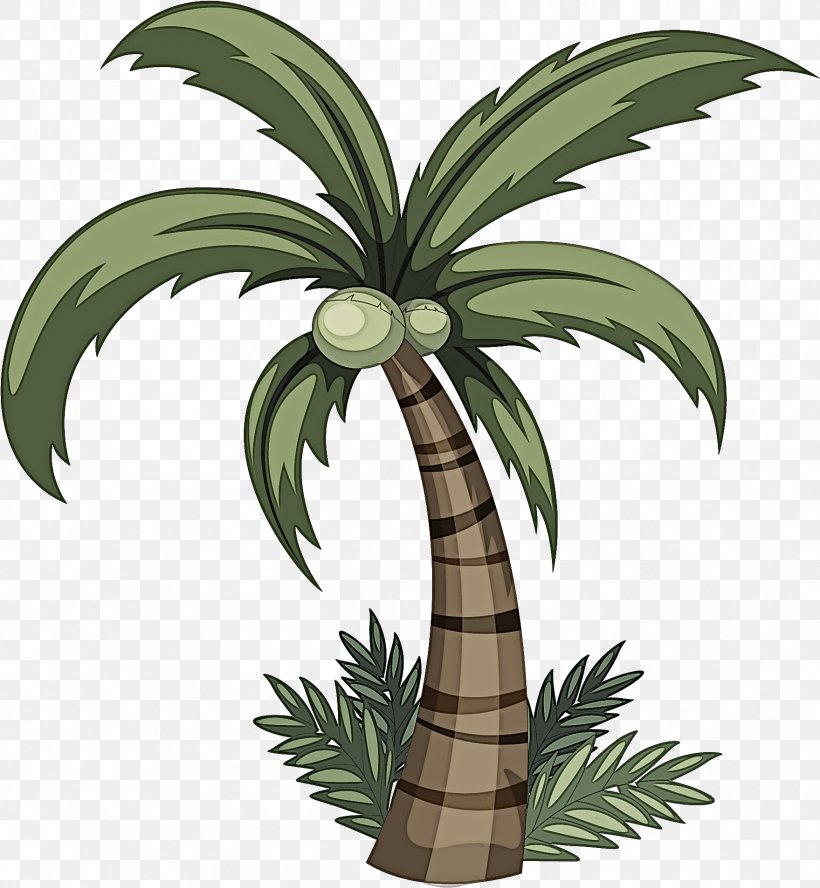 Palm Tree, PNG, 1759x1907px, Plant, Arecales, Houseplant, Leaf, Palm Tree Download Free