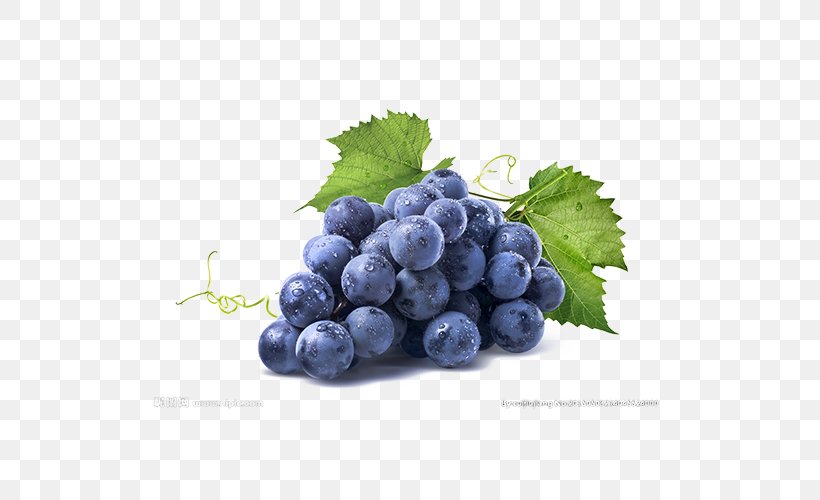 White Wine Kyoho Albarixf1o Concord Grape, PNG, 554x500px, White Wine, Berry, Bilberry, Blueberry, Blueberry Tea Download Free