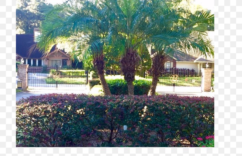 Arecaceae Landscaping Property Resort Tree, PNG, 712x528px, Arecaceae, Area, Arecales, Cottage, Estate Download Free