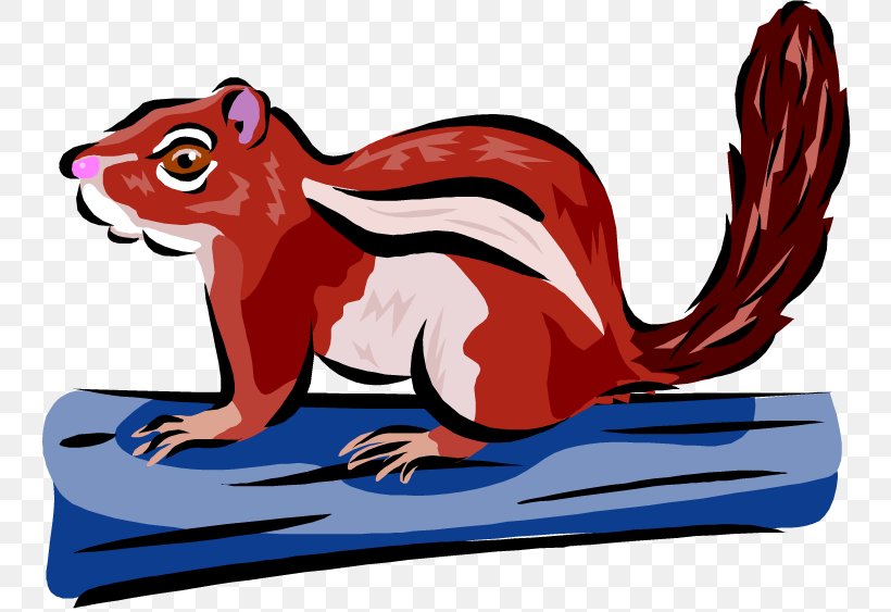 Clip Art Squirrel Eastern Chipmunk Graphics, PNG, 750x563px, Squirrel, Burrow, Carnivoran, Cartoon, Chipmunk Download Free