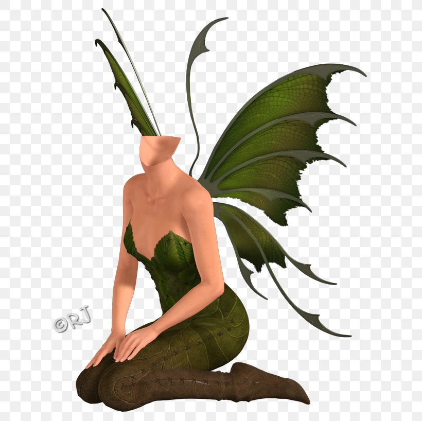 Photography Green Fairy, PNG, 657x818px, Photography, Digital Data, Digital Illustration, Digital Image, Fairy Download Free