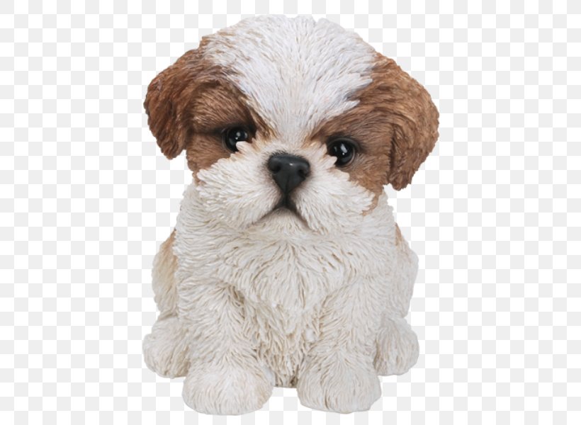 Shih Tzu Puppy Bichon Frise Poodle Yorkshire Terrier, PNG, 600x600px, Shih Tzu, Bichon Frise, Carnivoran, Cavachon, Cavapoo Download Free