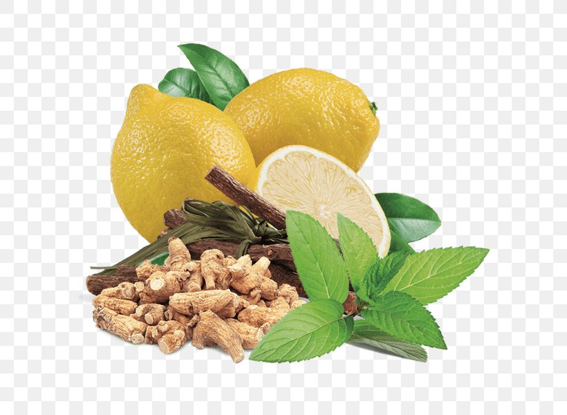 Vegetarian Cuisine Lemon Basil Liquorice Mints, PNG, 600x600px, Vegetarian Cuisine, Basil, Beefsteak Plant, Citrus, Common Sage Download Free