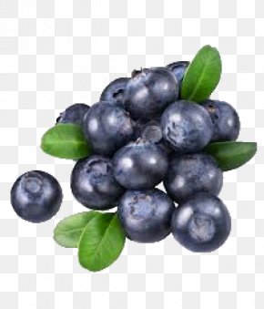 Blueberry - Blueberry Tea Bilberry Huckleberry PNG