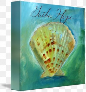 Seashell - Conchology Seashell PNG