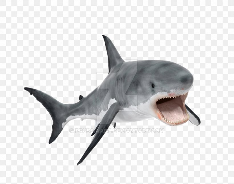 Great White Shark Tiger Shark Whale Shark Requiem Shark, PNG, 900x709px, 3d Modeling, Great White Shark, Animated Film, Carcharhiniformes, Cartilaginous Fish Download Free