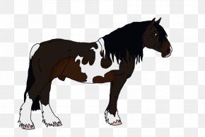 Mustang - Mane Mustang Stallion Mare Rein PNG