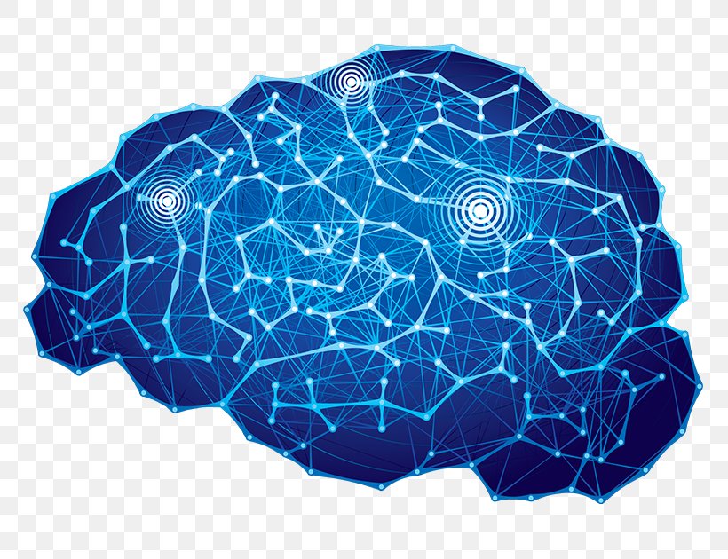 Neuron Human Brain Research Statistics, PNG, 800x630px, Neuron, Brain, Connectome, Electric Blue, Human Brain Download Free