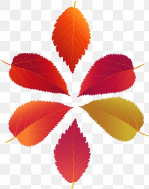 Leaf - Clip Art Image Leaf Illustration PNG