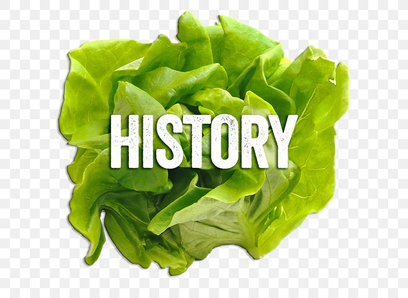 Romaine Lettuce Hamburger Burger Baron Baron's Fresh Grill Sandwich, PNG, 600x600px, Romaine Lettuce, Butterhead Lettuce, Chard, Choy Sum, Collard Greens Download Free