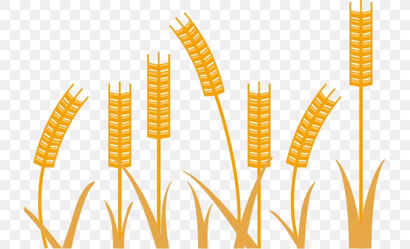 Wheat Minimalism, PNG, 723x498px, Wheat, Commodity, Designer, Food, Grain Download Free