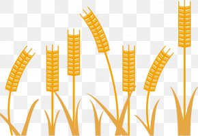 Wheat Minimalist Design Vector Material - Wheat Minimalism PNG