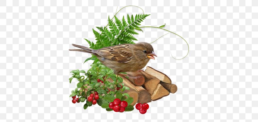 Blog Online Diary House Sparrow Clip Art, PNG, 400x388px, Blog, Beak, Bird, Bird Nest, Branch Download Free