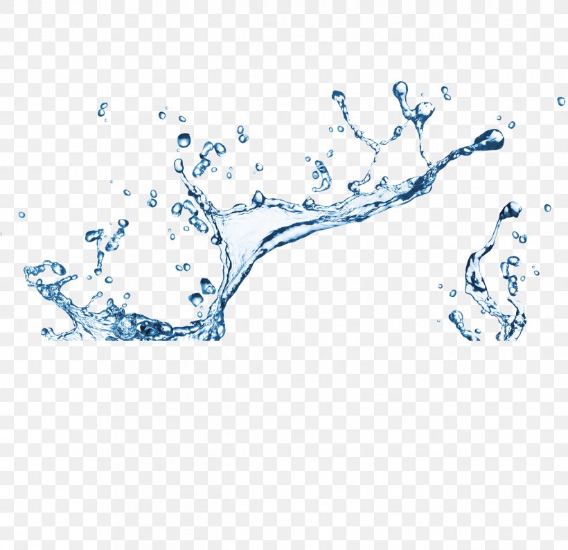 Water Drop Stock Photography, PNG, 1267x1227px, Water, Area, Blue, Branch, Drop Download Free