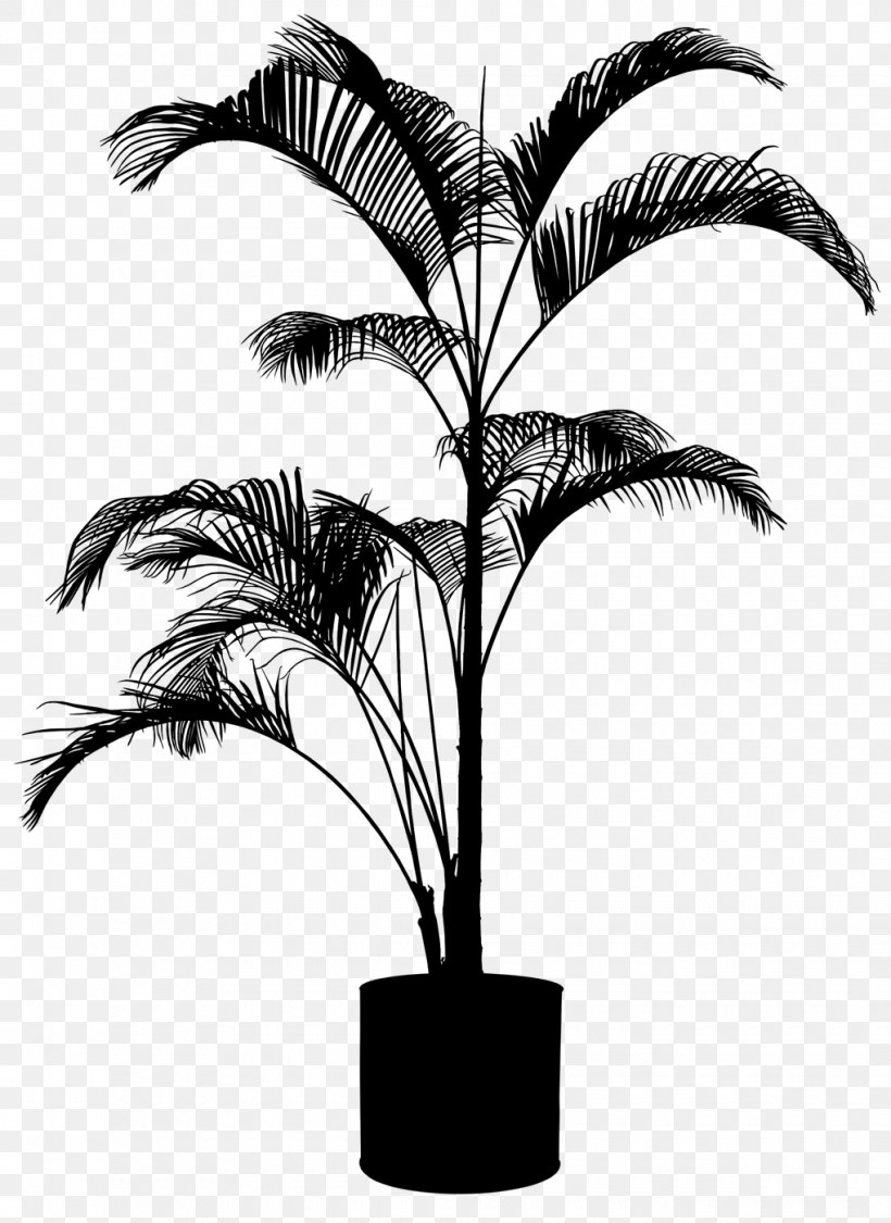 Asian Palmyra Palm Plants Tree Shrub Babassu, PNG, 1020x1400px, Asian Palmyra Palm, Arecales, Attalea, Attalea Speciosa, Babassu Download Free