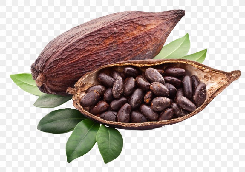 Criollo Cocoa Bean Cocoa Solids Trinitario Chocolate, PNG, 1000x704px, Criollo, Bean, Black Sapote, Chocolate, Chocolate Liquor Download Free