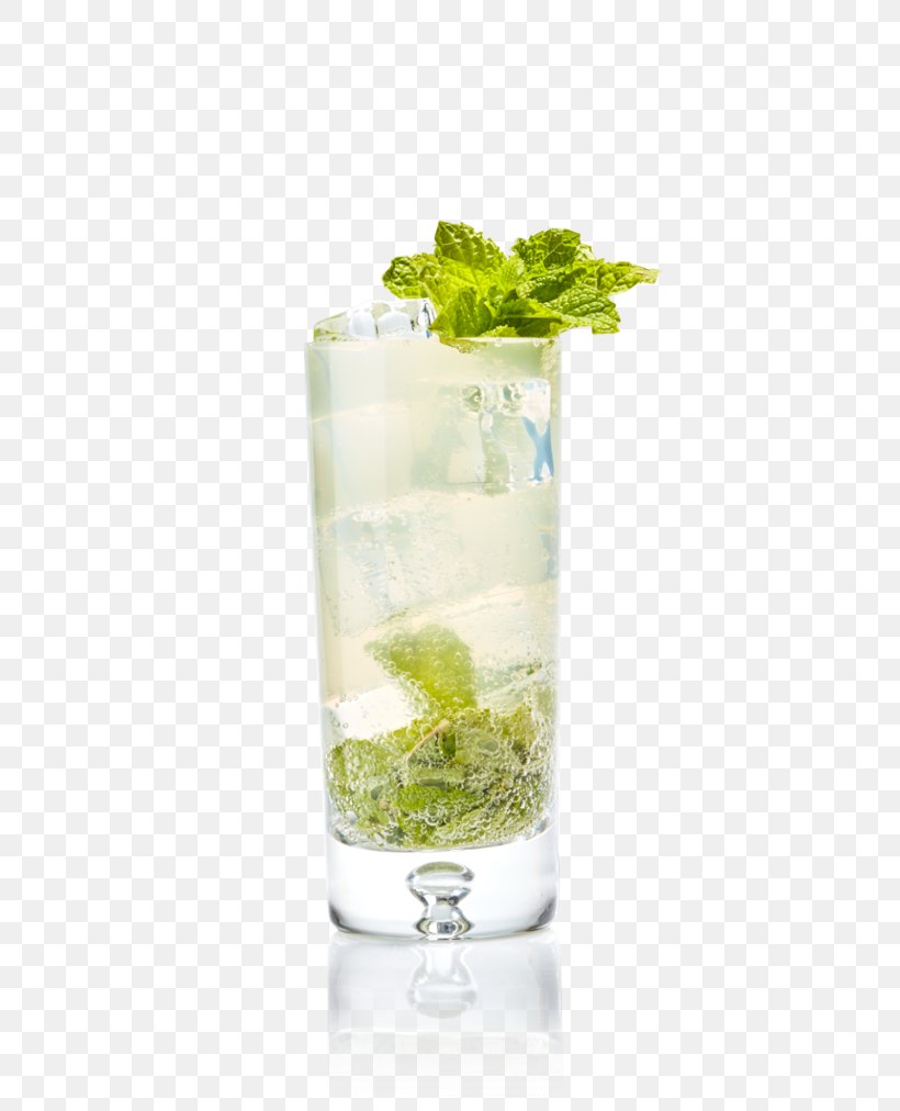 Mojito Rickey Rum Cocktail Garnish, PNG, 705x1012px, Mojito, Alcoholic Drink, Cocktail, Cocktail Garnish, Coconut Water Download Free