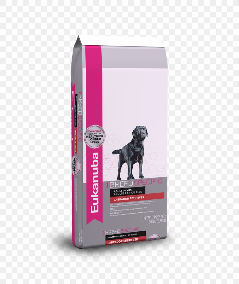 eukanuba labrador dog food