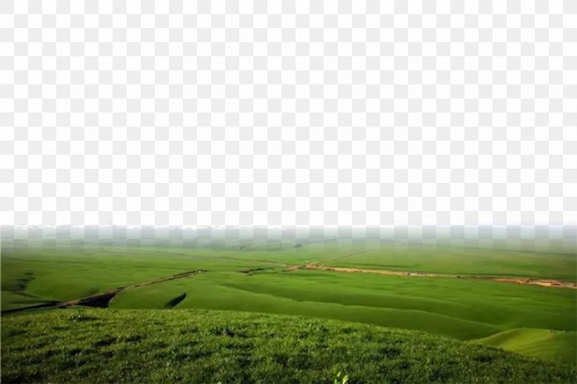 Lawn Rural Area Land Lot Ecoregion Wallpaper, PNG, 1333x888px, Lawn, Agriculture, Computer, Ecoregion, Ecosystem Download Free