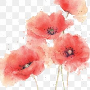 coquelicot images coquelicot transparent png free download coquelicot transparent png