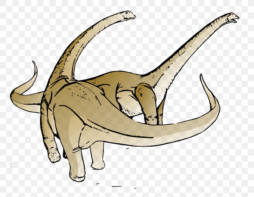 Alamosaurus Tyrannosaurus Dinosaur Clip Art, PNG, 800x634px, Alamosaurus, Carnivoran, Cat Like Mammal, Dinosaur, Dinosaur Pictures Download Free