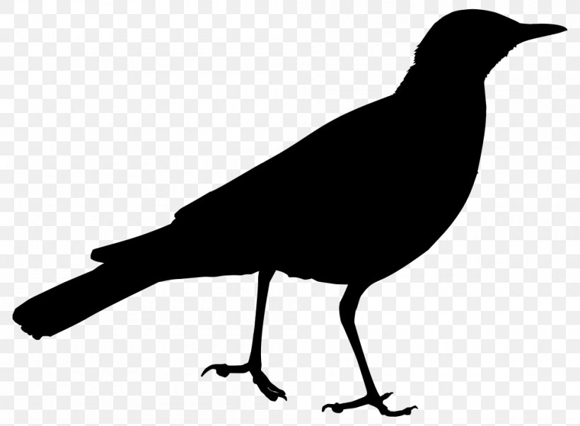 Australia Stock Photography Clip Art, PNG, 1000x736px, Australia, Beak, Bird, Black And White, Crow Download Free