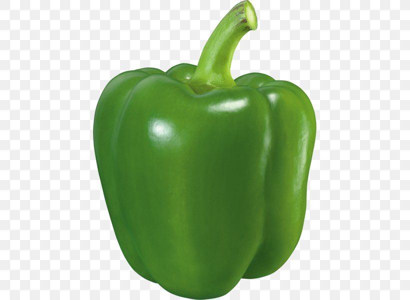 Bell Pepper Chili Pepper Vegetable, PNG, 447x600px, Bell Pepper, Bell Peppers And Chili Peppers, Black Pepper, Capsicum, Capsicum Annuum Download Free