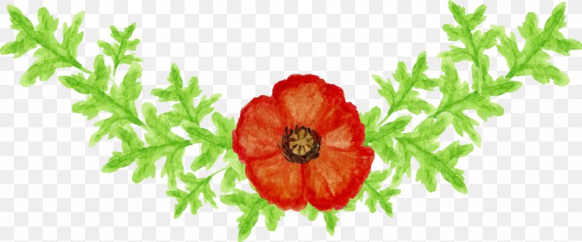 Cut Flowers Floral Design Floristry Poppy, PNG, 1772x741px, Flower, Coquelicot, Cut Flowers, Floral Design, Floristry Download Free
