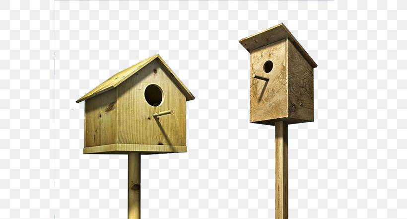 Edible Birds Nest, PNG, 600x441px, Edible Birds Nest, Bird Nest, Birdhouse, Clock, Cuckoo Clock Download Free
