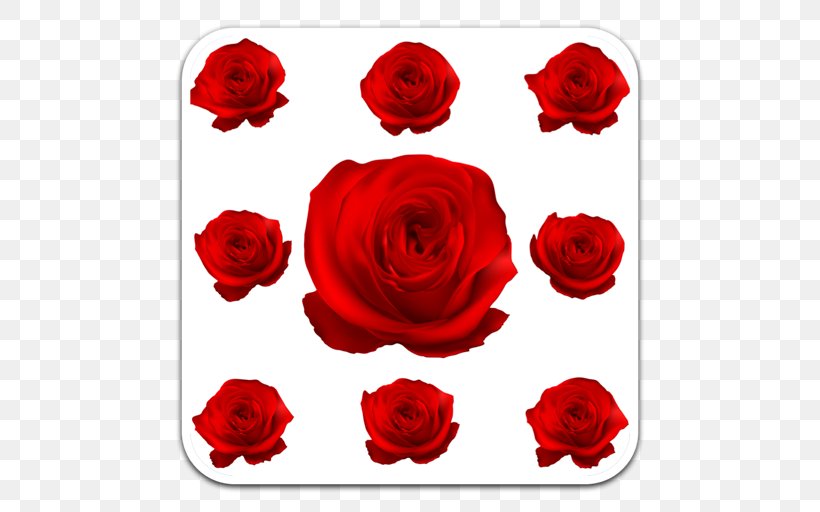Garden Roses Floral Design Floribunda, PNG, 512x512px, Garden Roses, Cut Flowers, Floral Design, Floribunda, Floristry Download Free