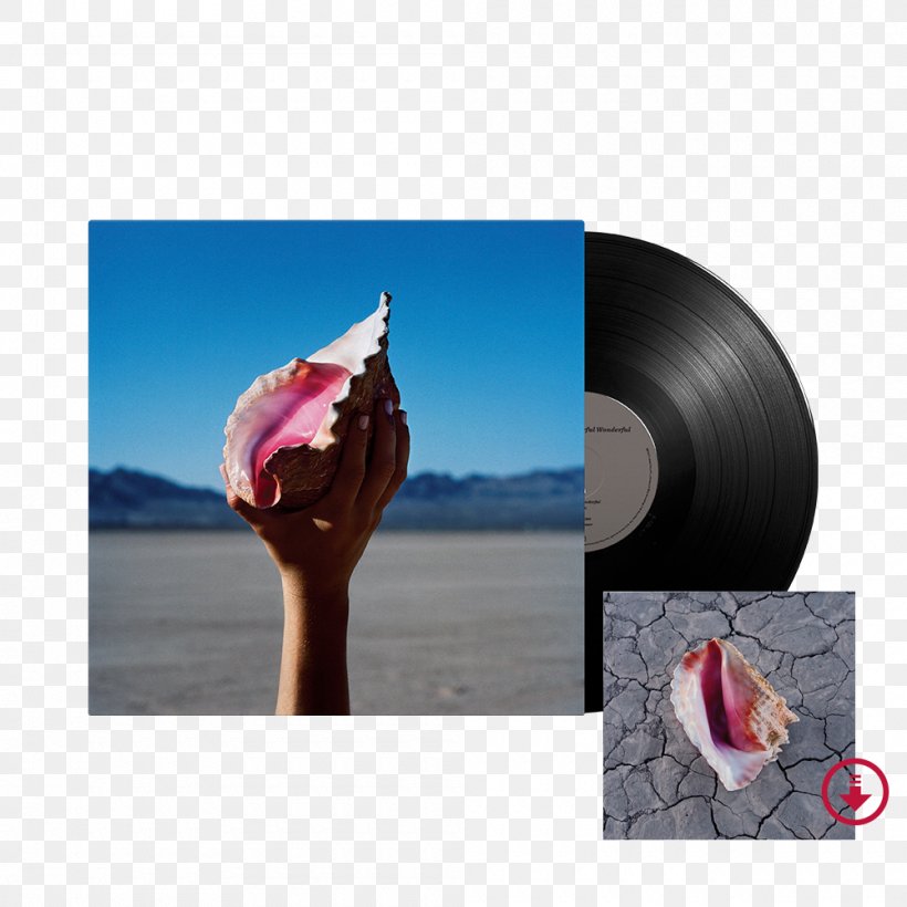 The Killers Wonderful Wonderful Album Hot Fuss Phonograph Record, PNG, 1000x1000px, Watercolor, Cartoon, Flower, Frame, Heart Download Free