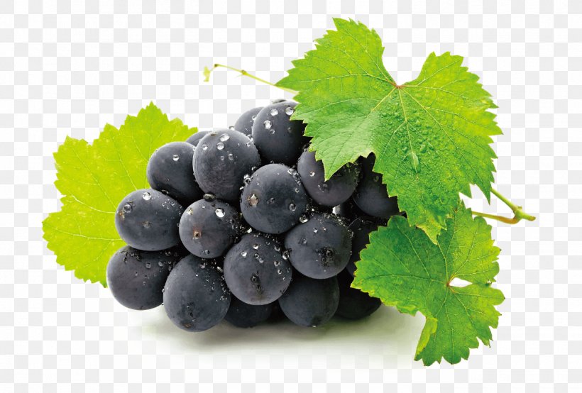 Common Grape Vine Wine Fruit Juice, PNG, 1465x990px, Common Grape Vine, Berries, Bilberry, Blueberry, Dried Fruit Download Free