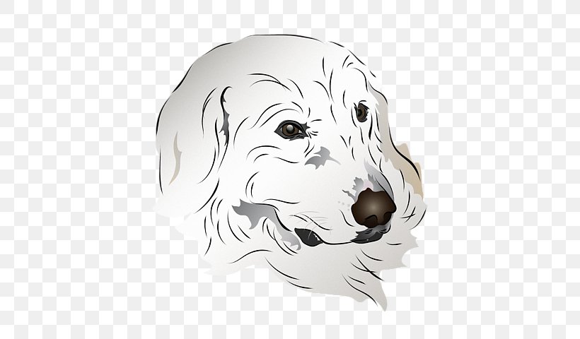 Dog Breed Puppy Whiskers Snout, PNG, 600x480px, Dog Breed, Big Cat, Big Cats, Black And White, Breed Download Free
