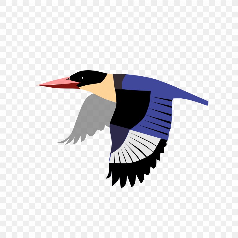 Beak Goose Cygnini Duck Water Bird, PNG, 2000x2000px, Beak, Anatidae, Bird, Cygnini, Duck Download Free