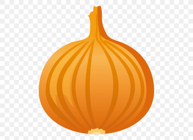 Family Shopping, PNG, 596x596px, Pumpkin, Allium, Amaryllis Family, Body, Calabaza Download Free