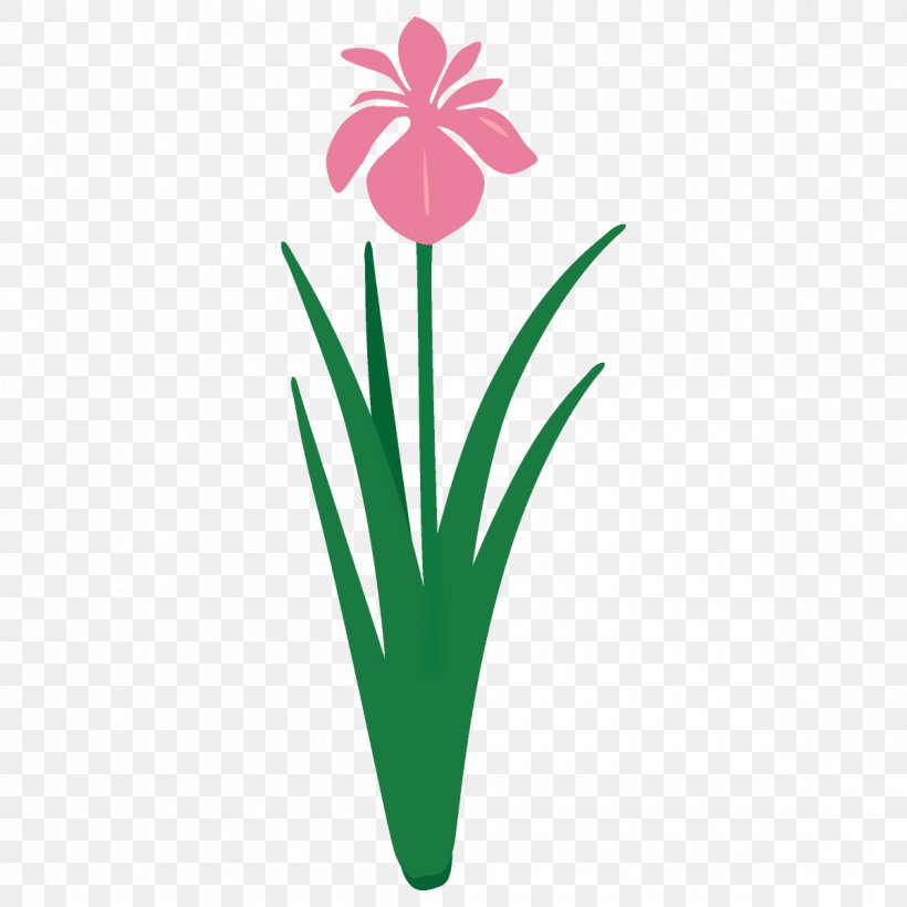 Green Flower Plant Flowering Plant Pink, PNG, 1200x1200px, Green, Flower, Flowering Plant, Grass, Petal Download Free
