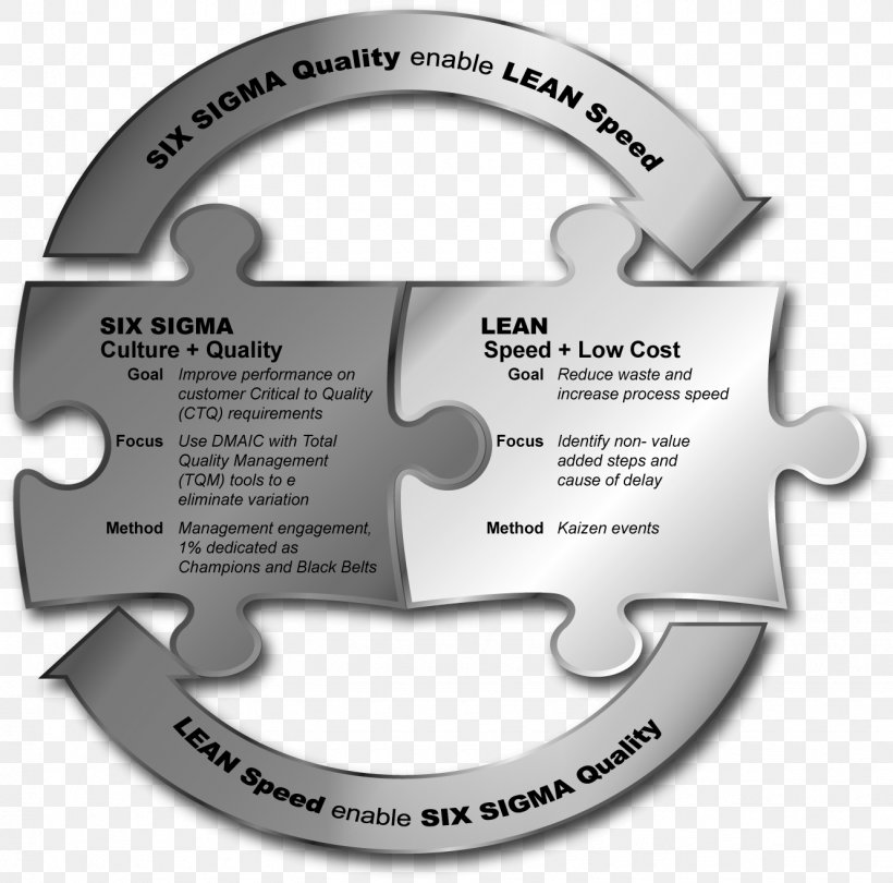Lean Six Sigma Lean Manufacturing Management Organization, PNG, 1330x1314px, Lean Six Sigma, Brand, Business Process, Continual Improvement Process, Diagram Download Free