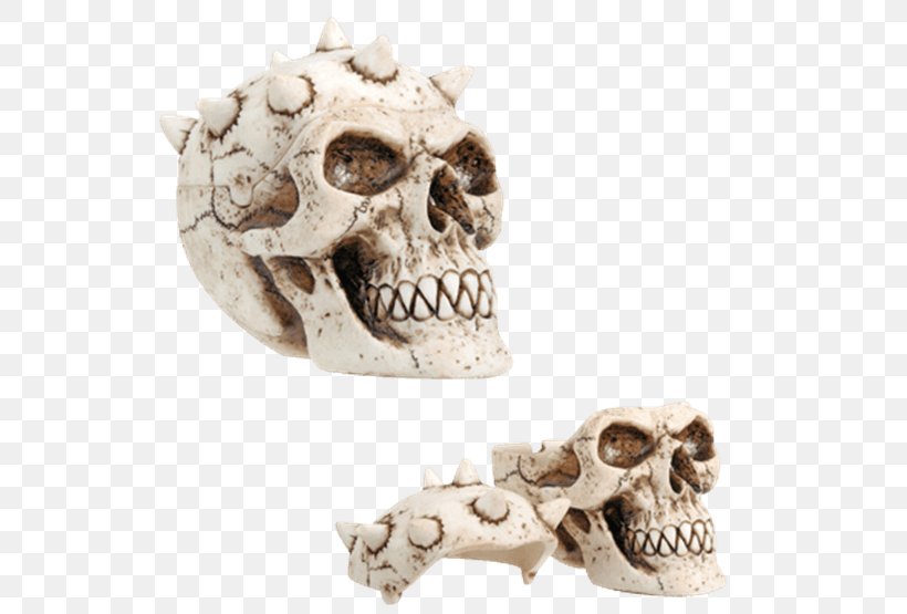 Skull Skeleton Figurine Collectable Container, PNG, 555x555px, Skull, Art, Ashtray, Bone, Ceramic Download Free
