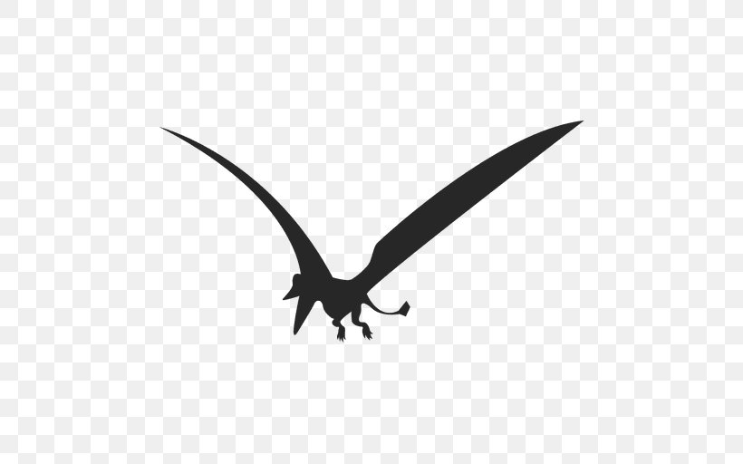 Eudimorphodon Pterosaurs Dinosaur, PNG, 512x512px, Eudimorphodon, Animal, Beak, Bird, Black And White Download Free