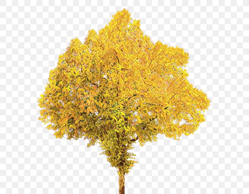Fall Tree Clip Art Autumn, PNG, 639x640px, Tree, Autumn, Autumn Leaf Color, Cedar, Fall Tree Download Free